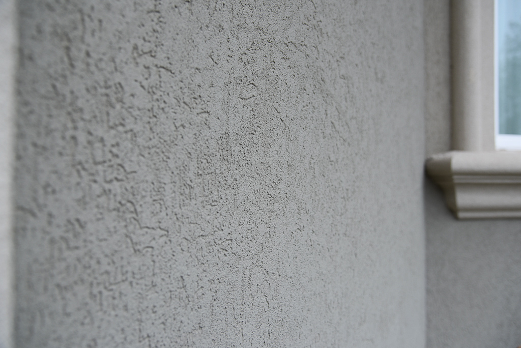 Closeup-1